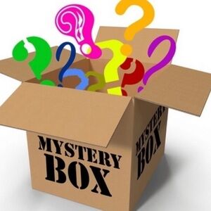 5LB Mystery Box SZ LARGE Winter Shirts Tops Blouse Dresses Styling Bundling